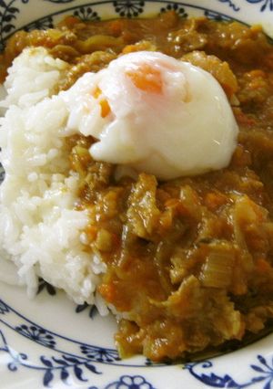 スロージューサー野菜かすdeカレーライス-レシピのメイン写真