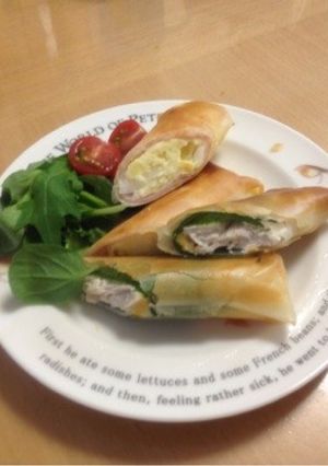 お弁当にもいける‼ポテトサラダの春巻き-レシピのメイン写真