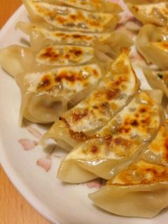 野菜たっぷりギョウザ-レシピのメイン写真