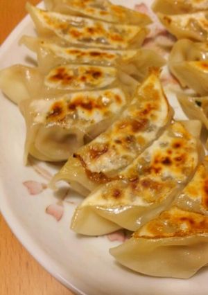 野菜たっぷりギョウザ-レシピのメイン写真