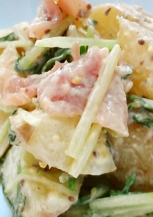 新じゃが・水菜・生ハムのサラダ-レシピのメイン写真