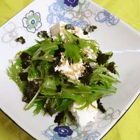 基本からアレンジまで！思わずつくりたくなる「水菜 豆腐 海苔」の