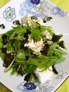 豆腐と水菜の韓国風サラダ-レシピのメイン写真