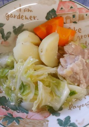 塩麹任せ　柔らか鶏とキャベツのポトフ-レシピのメイン写真