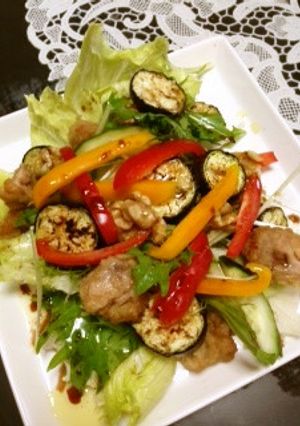 鶏と焼き茄子のサラダ-レシピのメイン写真