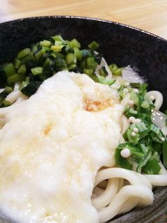 夏のネバネバ冷やしうどん-レシピのメイン写真