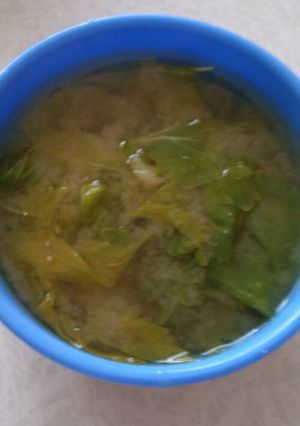 セロリの葉の味噌汁-レシピのメイン写真