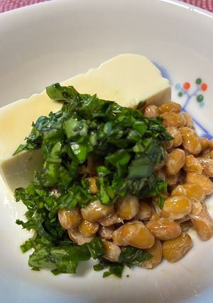 🌿バジル豆腐納豆のオリーブオイルかけ🌿-レシピのメイン写真