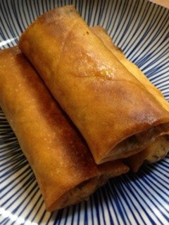 ひじきと豆腐の春巻き-レシピのメイン写真