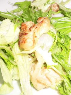 豚肉のしょうが焼き、レタスと水菜サラダ-レシピのメイン写真