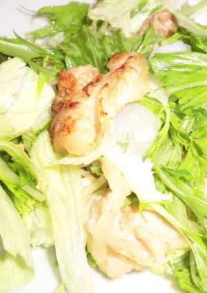 豚肉のしょうが焼き、レタスと水菜サラダ-レシピのメイン写真
