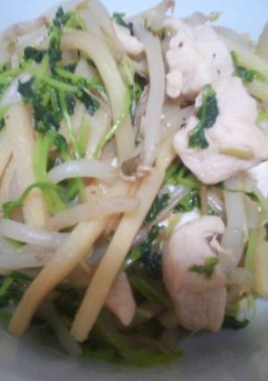 鶏肉と豆苗とたけのこの中華炒め-レシピのメイン写真