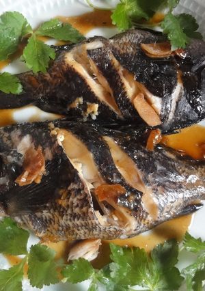 おごちそう!黒鯛の煮つけ-レシピのメイン写真