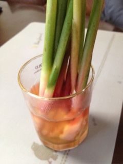 新生姜甘酢漬け-レシピのメイン写真