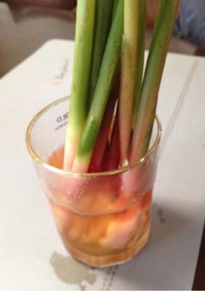 新生姜甘酢漬け-レシピのメイン写真
