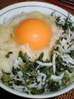 しらすのせ卵かけごはん-レシピのメイン写真