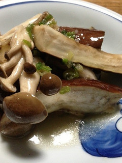 蒸しなすと鶏むね肉のさっぱりおひたし-レシピのメイン写真