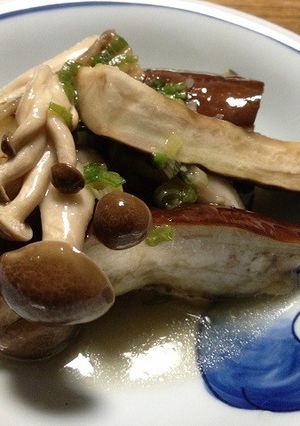 蒸しなすと鶏むね肉のさっぱりおひたし-レシピのメイン写真