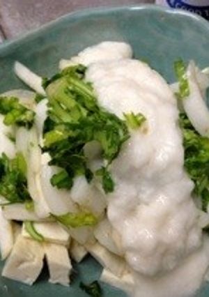 夏野菜の浅漬け載せて変わり冷奴2-レシピのメイン写真