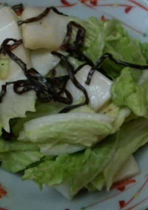 お手軽やみつき白菜サラダ-レシピのメイン写真