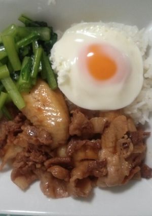 時短！ランチや夕飯に！甘辛炒め丼-レシピのメイン写真