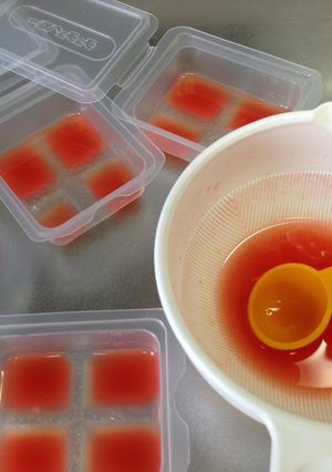 スイカ果汁＊ペースト食＆経管栄養食-レシピのメイン写真
