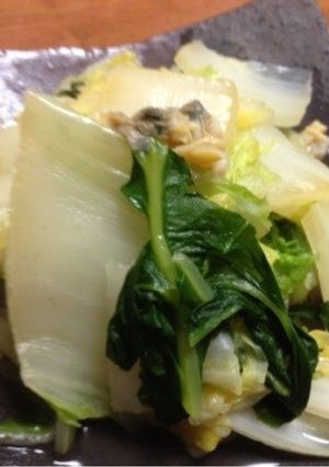 白菜とアサリの酒蒸し-レシピのメイン写真