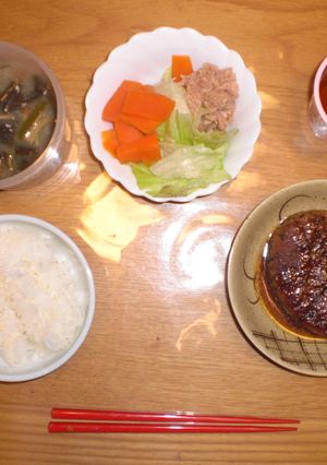 冷凍ハンバーグを使った・・・・-レシピのメイン写真