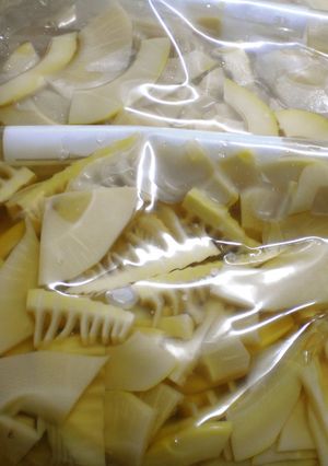 筍は冷凍保存できるんだよ♪-レシピのメイン写真