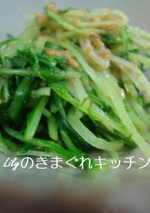 定番惣菜 水菜の胡麻和え-レシピのメイン写真
