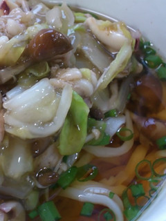 野菜たっぷり!あんかけうどんだワン-レシピのメイン写真