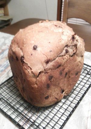 早焼き チョコフルーツ食パン-レシピのメイン写真