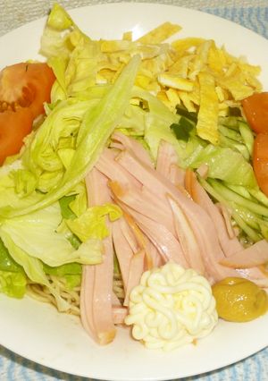 パパの冷やし中華②-レシピのメイン写真