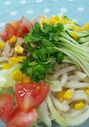 夏!簡単サラダうどん-レシピのメイン写真