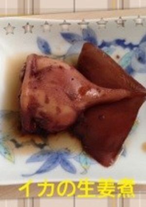 絶品！イカの生姜煮-レシピのメイン写真