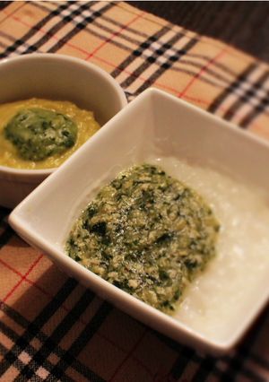 離乳食 鶏むねひき肉のナスあん 【中期】-レシピのメイン写真