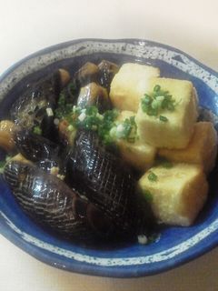 なすの揚げびたし・揚げだし豆腐-レシピのメイン写真
