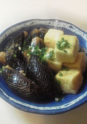 なすの揚げびたし・揚げだし豆腐-レシピのメイン写真