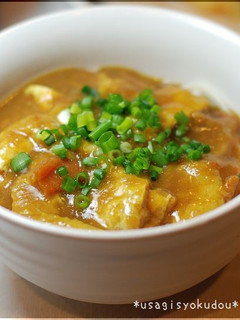 残ったカレーで!カレーうどん♪-レシピのメイン写真