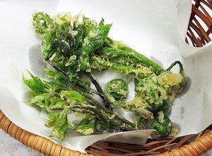 たらの芽・こごみ・こしあぶらの山菜天ぷら-レシピのメイン写真