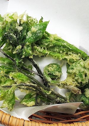 たらの芽・こごみ・こしあぶらの山菜天ぷら-レシピのメイン写真