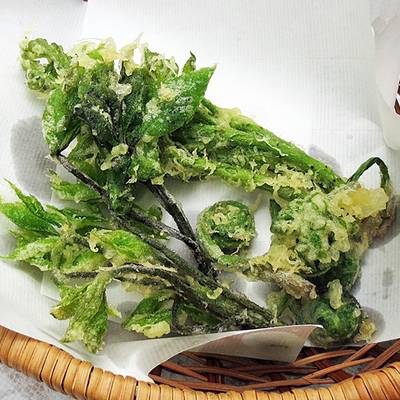 新作グッ photo.jpg 野菜