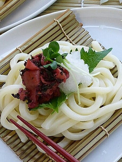 簡単!サッパリおろしうどん-レシピのメイン写真