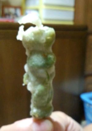 空豆の天ぷら-レシピのメイン写真