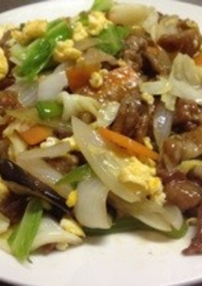 豚肉の中華風炒め☆-レシピのメイン写真