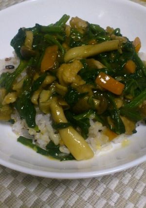 簡単☆ほうれん草と豚肉のあんかけご飯☆-レシピのメイン写真
