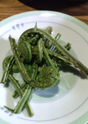 【母の味】こごみのお浸し-レシピのメイン写真