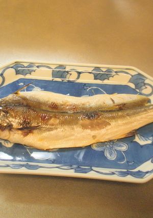 愛知の魚100選 アカカマスの一夜漬-レシピのメイン写真