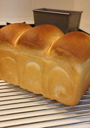 ホシノで手捏ね！毎日食べたい美味食パン！-レシピのメイン写真