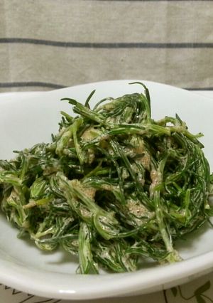 おかひじきと明太子の和え物-レシピのメイン写真